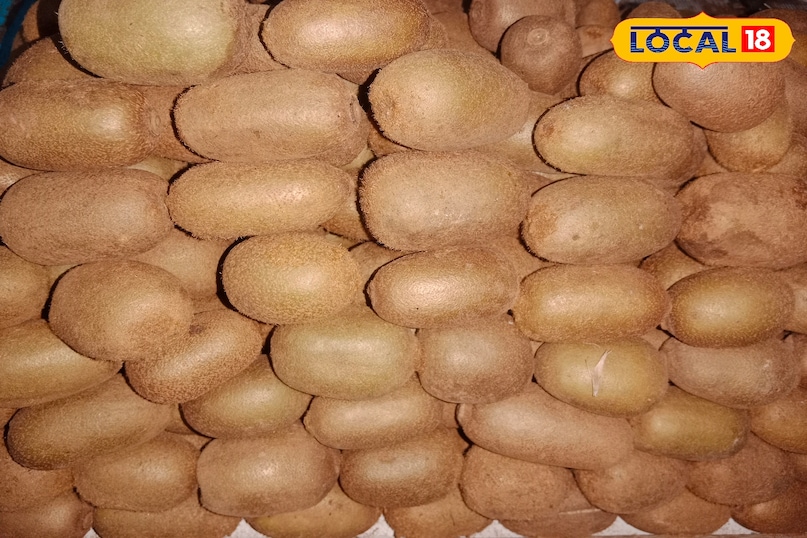 Mau news, local news, latest news, health news, up news