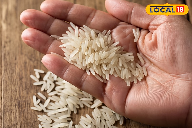 बरसात में चावल को सुरक्षित कैसे रखें, बरसात में चावल को स्टोर कैसे करें, बरसात में चावल को कीड़ों से कैसे बचाएं, लोकल 18, How to keep rice safe in rainy season, how to store rice in rainy season, how to protect rice from insects in rainy season, Local 18