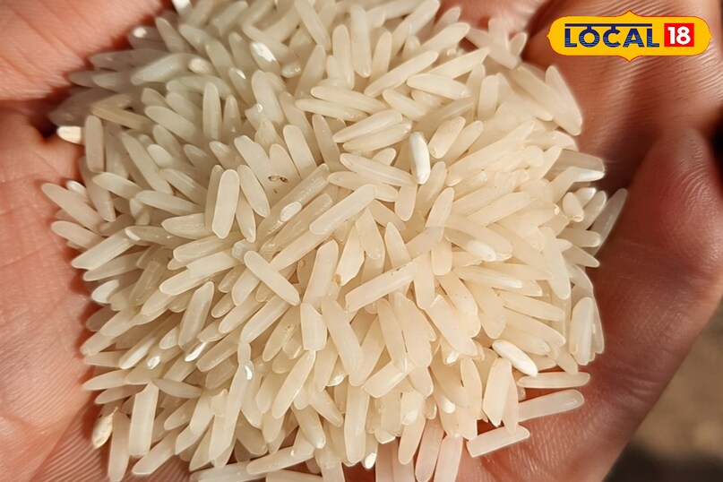 बरसात में चावल को सुरक्षित कैसे रखें, बरसात में चावल को स्टोर कैसे करें, बरसात में चावल को कीड़ों से कैसे बचाएं, लोकल 18, How to keep rice safe in rainy season, how to store rice in rainy season, how to protect rice from insects in rainy season, Local 18