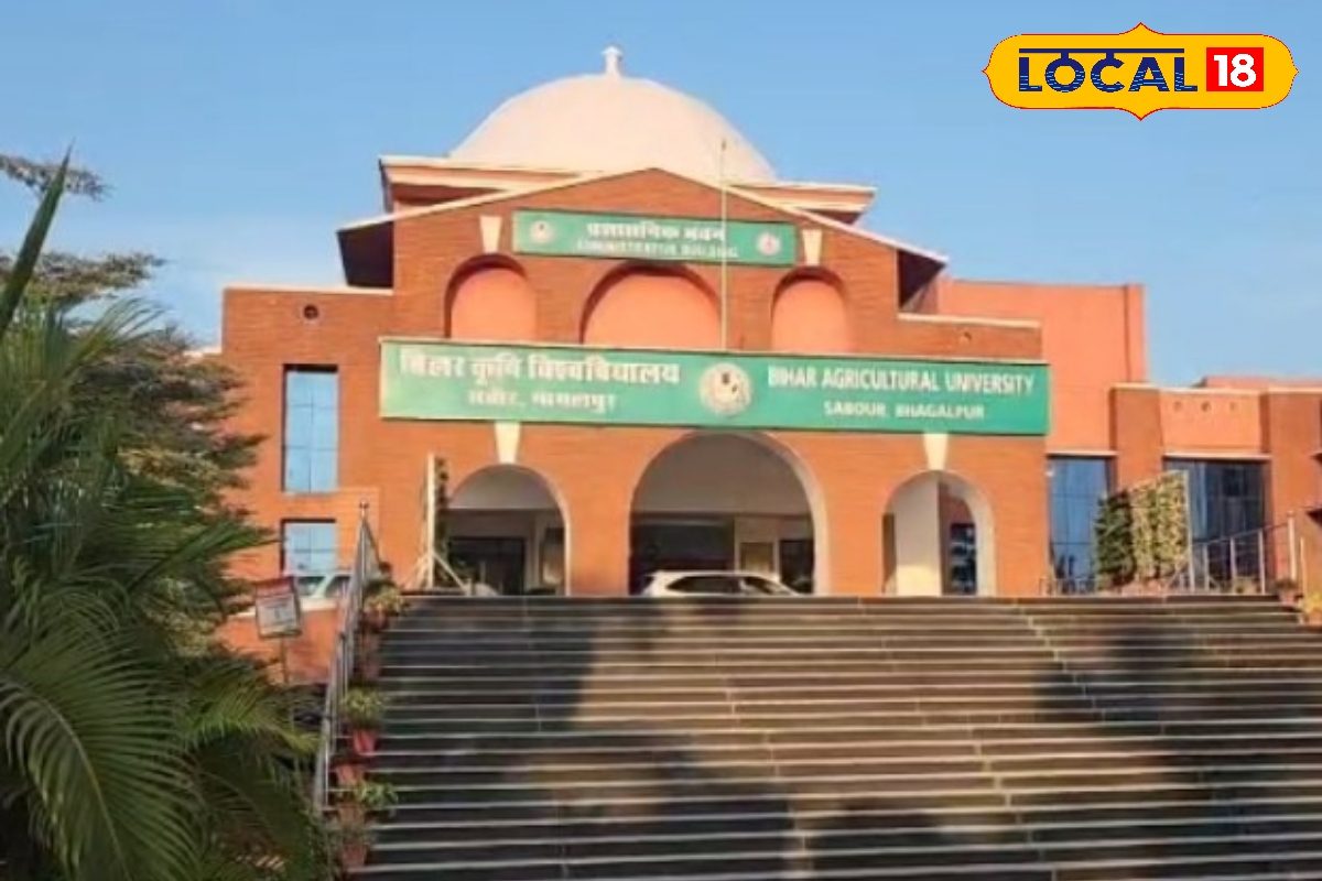 बीएयू की 2 नई गेहूं किस्में देंगी बंपर पैदावार, किसान होंगे मालामाल