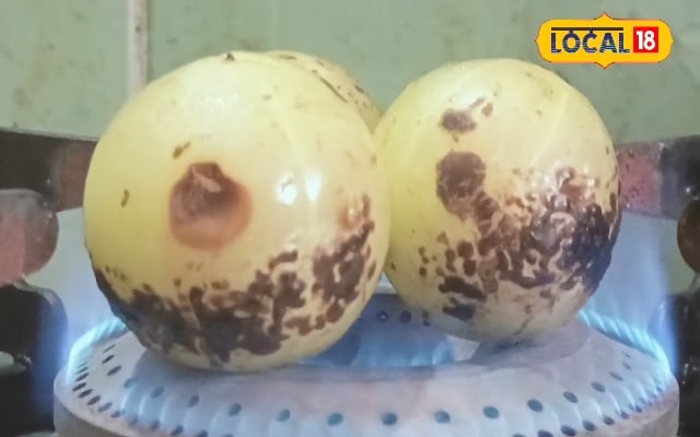 नवरात्रि में बिना लहसुन-प्याज बनाएं इस फल की चटनी, खाने वाले पूछेंगे रेसिपी