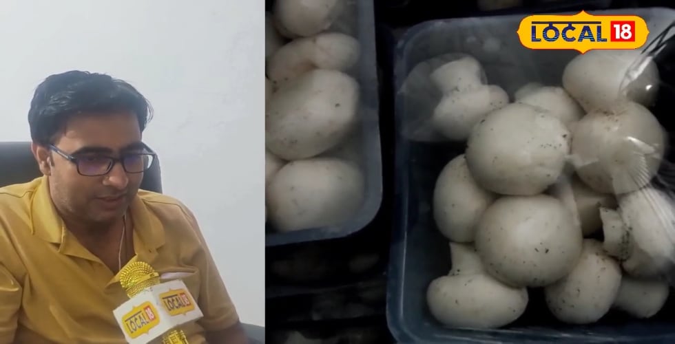 खगड़िया में मशरूम का जादू... 90% छूट पर 14000 किट, किसान ऐसे कमाएं बंपर मुनाफा