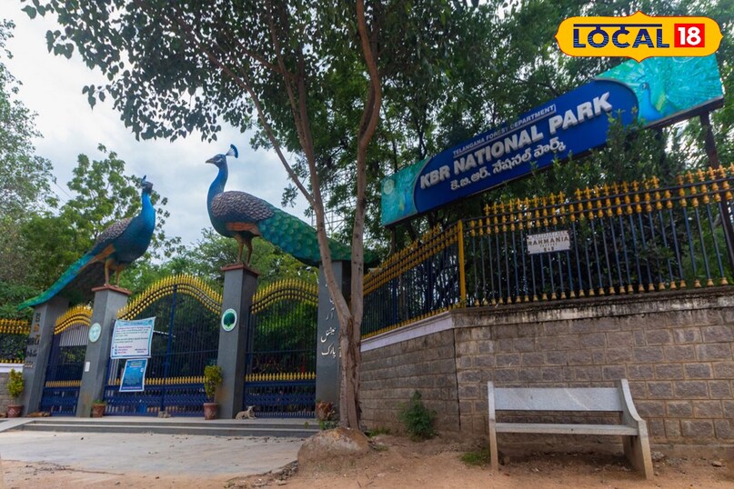 केबीआर नेशनल पार्क जुबली हिल्स शहर के दिल में स्थित केबीआर पार्क अपने विशाल हरे-भरे क्षेत्र और प्राकृतिक सौंदर्य के लिए मशहूर है। यहाँ जॉगिंग और वॉकिंग ट्रैक के साथ-साथ ओपन-एयर जिम की सुविधा भी उपलब्ध है जहाँ ताज़ी हवा के बीच एक्सरसाइज करना एक सुखद अनुभव होता है।