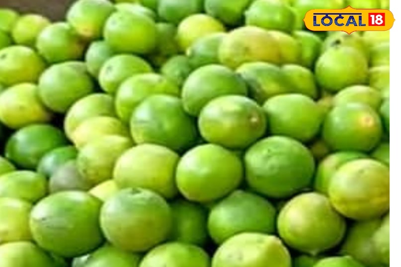 मेरठ, आयुर्वेद, नींबू, पत्ते, पेड़, विटामिन सी, बाल, त्वचा, उपयोग, लोकल -18,Meerut, Ayurveda, Lemon, Leaves, Tree, Vitamin C, Hair, Skin, Uses, Bharat.one मेरठ, आयुर्वेद, नींबू, पत्ते, पेड़, विटामिन सी, बाल, त्वचा, उपयोग, लोकल -18,Meerut, Ayurveda, Lemon, Leaves, Tree, Vitamin C, Hair, Skin, Uses, Bharat.one