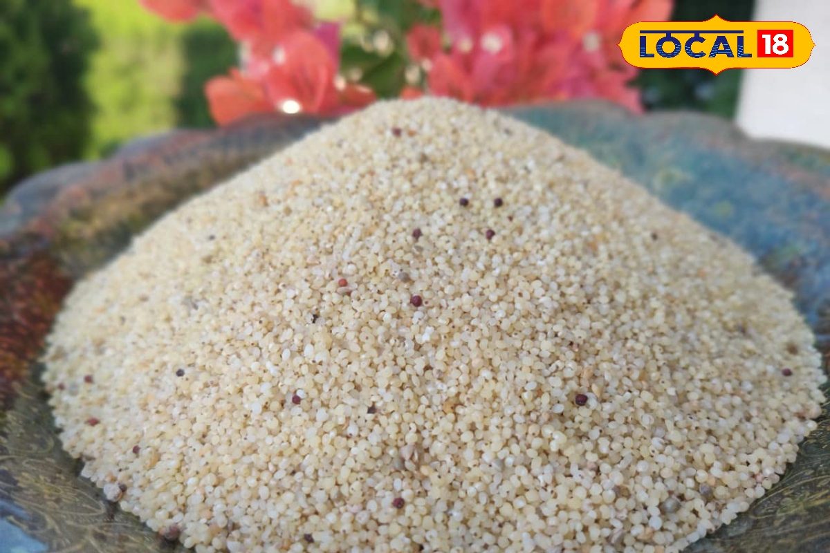 ये पहाड़ी अनाज... झटपट करेगा वजन और शुगर कंट्रोल! हार्ट और पेट के लिए रामबाण