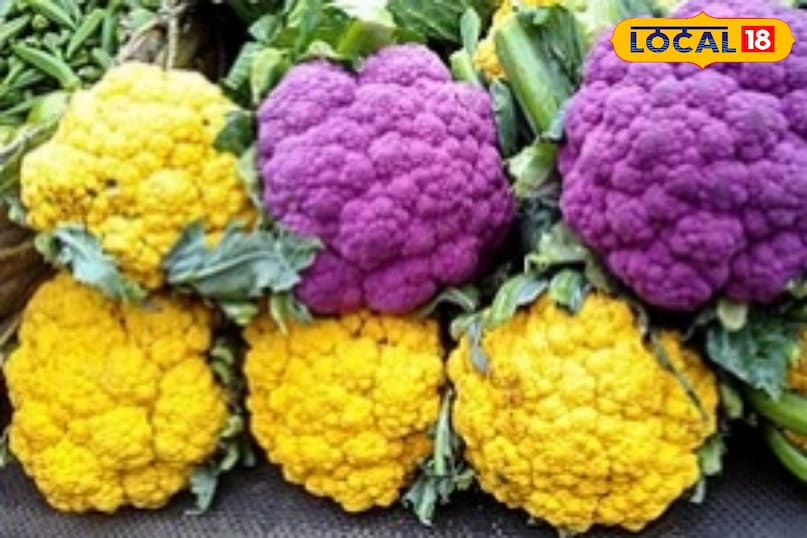 इसमें कई तरह के विटामिन और मिनरल्स होते हैं, जो हमारी इम्यूनिटी बढ़ाते हैं. इसके सेवन से मोटापा, दिल की बीमारियों से मुक्ति और कैंसर जैसी बीमारियों से दूर रखता है.