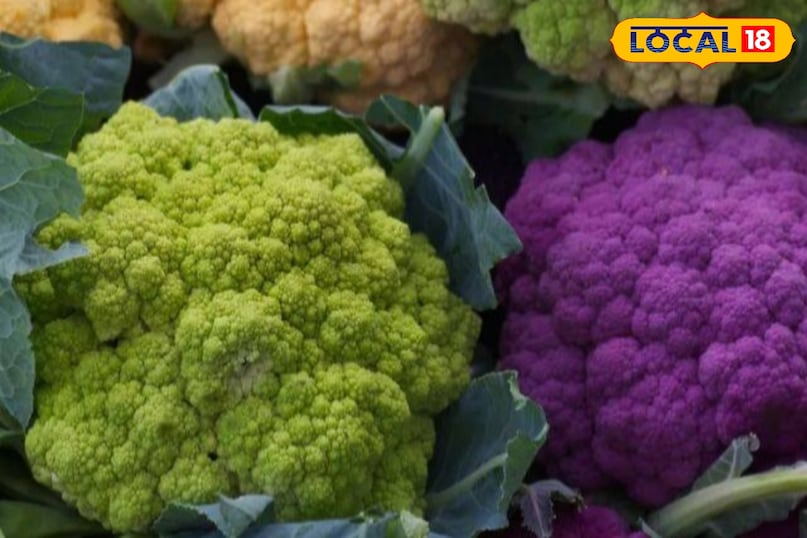 एक्सपर्ट का कहना है कि खाने की थाली में जितना रंगों का खाना होगा, वह हमारे लिए उतना ही फायदेमंद. ऐसे में रंगीन गोभी से हमारे शरीर के लिए भी बेहद फायदेमंद है. 