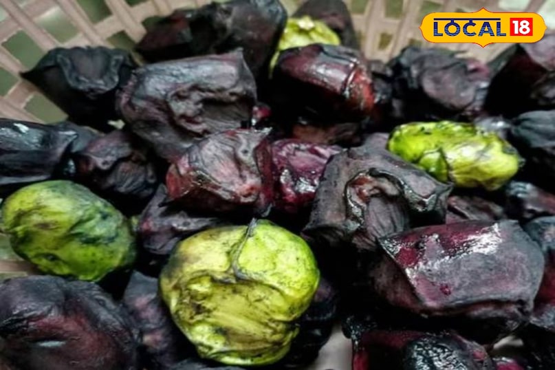 Health tips: इम्युनिटी बढ़ाने के साथ कई बीमारियों में यह पानी वाला फल रामबाण, कई तरीके से किया जा सकता है इस्तेमाल 