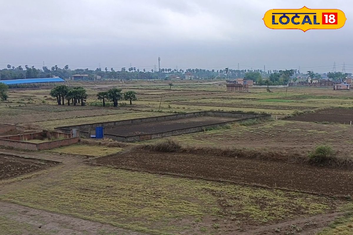 हेक्टेयर, एकड़ और बीघा का कन्फ्यूजन खत्म, जानें किसमें कितनी होती है जमीन