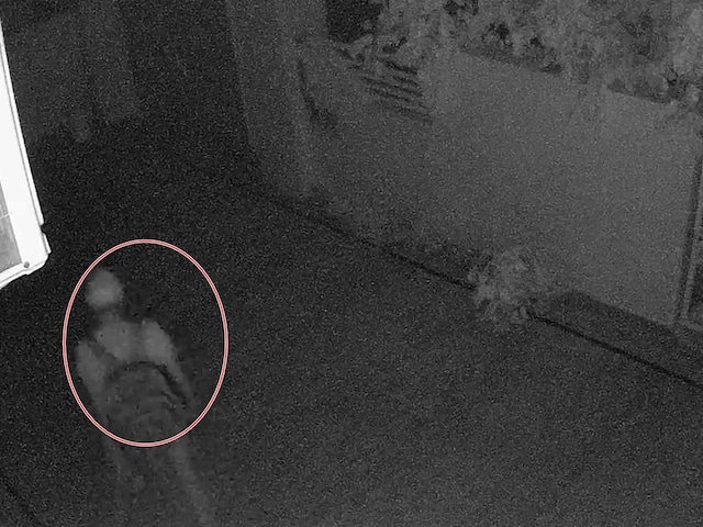 घर में घुसे 5 चोर...खाई घेवर और गटकी शराब की बोतल, बाद में पैसे-गहने ले उड़े घर में घुसे 5 चोर...खाई घेवर और गटकी शराब की बोतल, बाद में पैसे-गहने ले उड़े