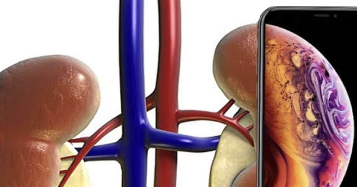 Tach – ‘चूहे की आंख’ से ‘पानी पूरी स्टॉल’ तक, iPhone 17 मीम्स तो बवाल काट रहे! हंसते-हंसते हो जाएंगे लोटपोट