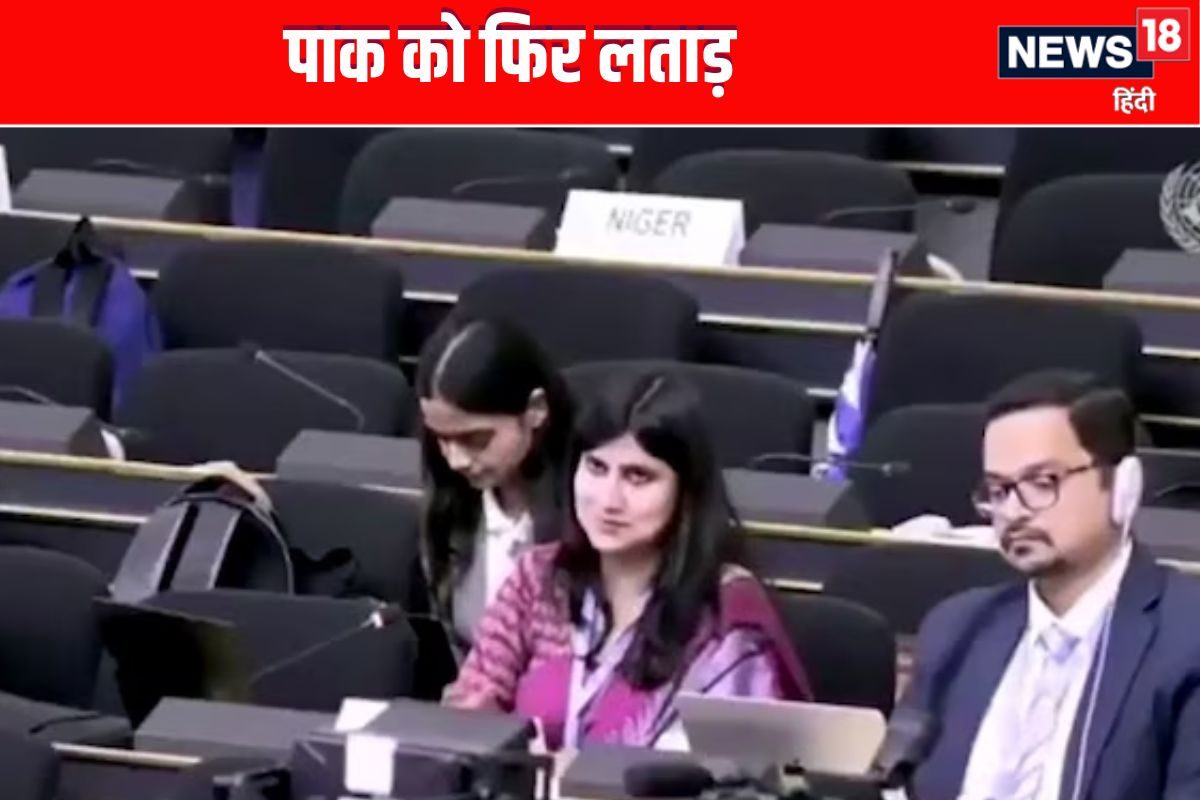आतंकवाद और दोस्ती साथ-साथ नहीं भारत ने UN में पाकिस्तान को लगाई लताड़