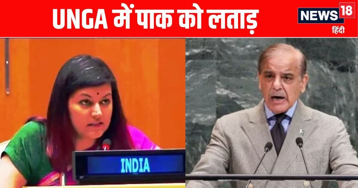 आतंकियों का महिमामंडन करना तुम्हारी विदेश नीति; भारत ने PAK को UNGA में लताड़ा