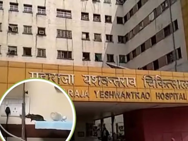 MY अस्पताल का एक और झूठ बेनकाब, चूहे कुतर गए थे बच्ची की 3 उंगलियां MY अस्पताल का एक और झूठ बेनकाब, चूहे कुतर गए थे बच्ची की 3 उंगलियां