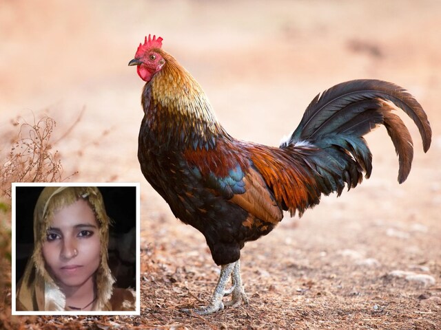 चिकन बनाने के लिए किया मना, नहीं माना पति, फिर शाकाहारी बीवी ने किया ऐसा कांड,