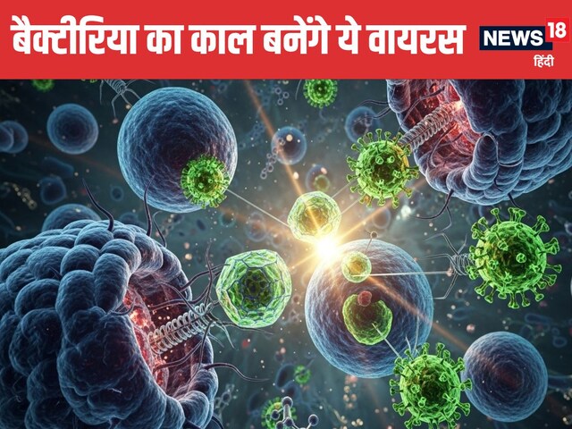 वैज्ञानिकों ने बनाए अनोखे वायरस, एंटीबायोटिक रेजिस्टेंट बैक्टीरिया करेंगे खत्म