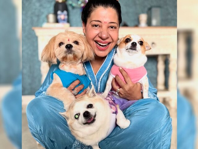 'जुड़वां नहीं है, केवल एक...', प्रेग्नेंसी अनाउंसमेंट करने वाली थीं संभावना