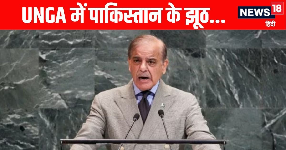 ऑपरेशन सिंदूर पर पाक के वो 5 झूठ...जिसे शरीफ ने UNGA में उछाला, आप जानिए हकीकत