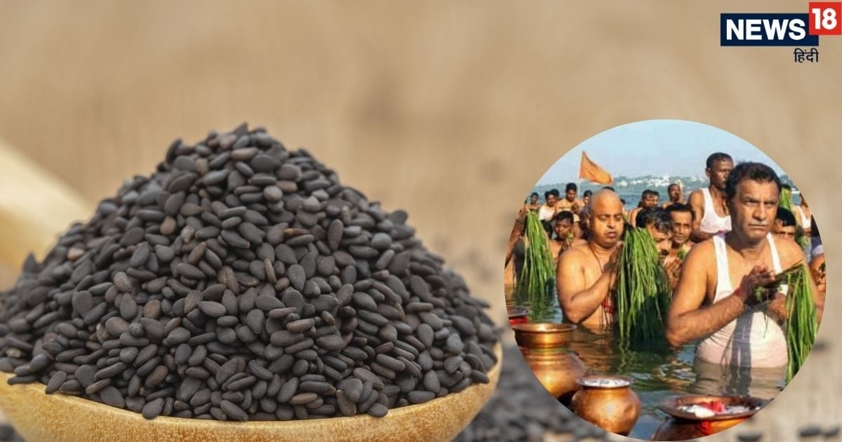 Kale Til In Pitru Paksha: श्राद्ध अनुष्ठानों में क्यों किया जाता है काले तिल का प्रयोग? जानें पौराणिक कथा और मान्यताएं