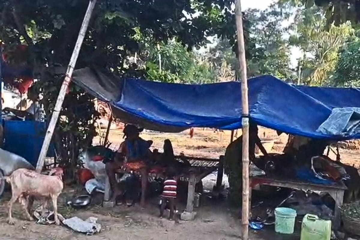 तंबू में जानवरों के साथ सोने को मजबूर लोग, दाने-दाने को मोहताज जिंदगी