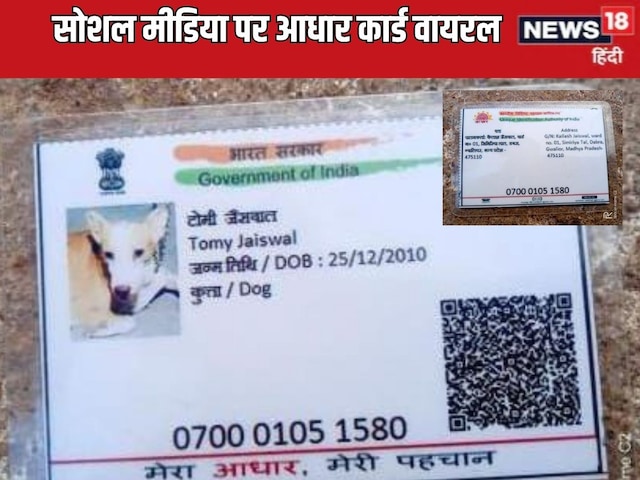 बनाया डॉगी का आधार कार्ड, देखकर हैरान रह गए लोग बनाया डॉगी का आधार कार्ड, देखकर हैरान रह गए लोग