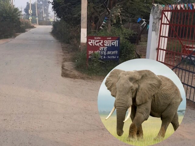 एक करोड़ की हथिनी लापता, साथ में महावत भी गायब, चिप से लोकेशन पर पुलिस की नजर