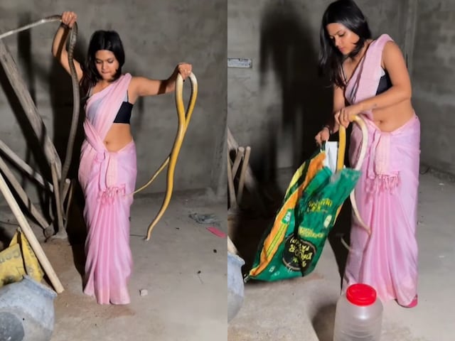 The girl came to catch a snake wearing a sari, two snakes caught together!
