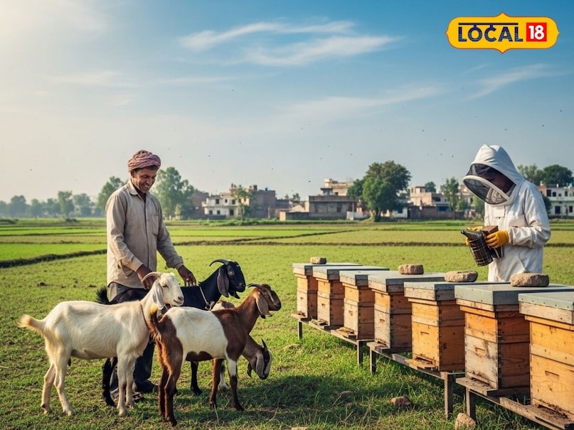 बकरी और मौन पालन की ट्रेनिंग