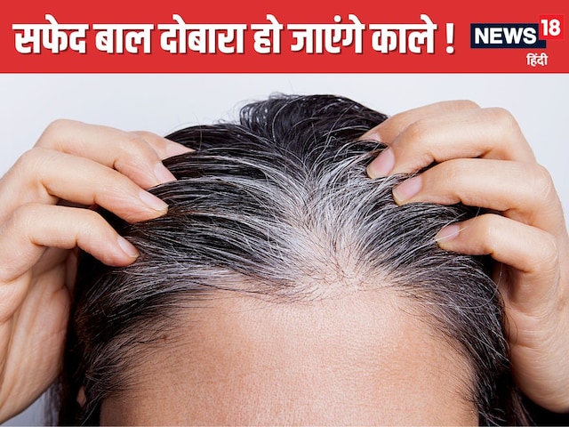 सफेद बाल सिर्फ 15 दिन में हो जाएंगे काले ! अपनाएं 5 सबसे पावरफुल घरेलू नुस्खे सफेद बाल सिर्फ 15 दिन में हो जाएंगे काले ! अपनाएं 5 सबसे पावरफुल घरेलू नुस्खे