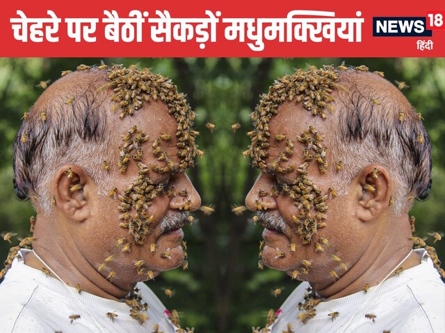 शख्स के पूरे शरीर से चिपकीं सैकड़ों मधुमक्खियां, मगर एक ने भी नहीं मारा डंक