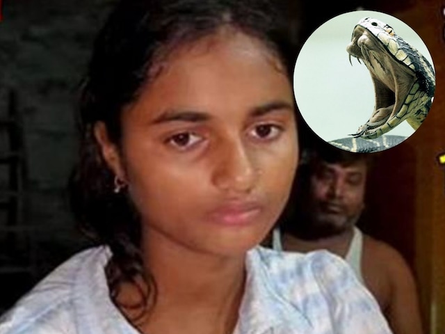 कौशांबी में हाथ धोकर इस लड़की के पीछे पड़ा सांप, एक महीने में 7वीं बार डसा कौशांबी में हाथ धोकर इस लड़की के पीछे पड़ा सांप, एक महीने में 7वीं बार डसा
