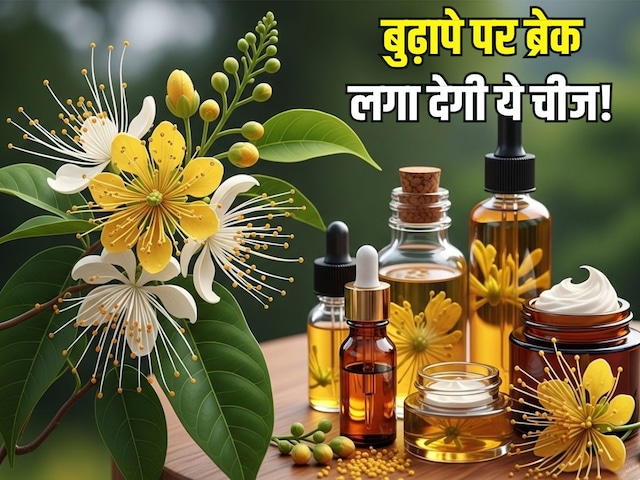 पुष्प ही नहीं.. सुंदरता के गुणों का खजाना है यह चीज! बढ़ती उम्र पर लगाता ब्रेक