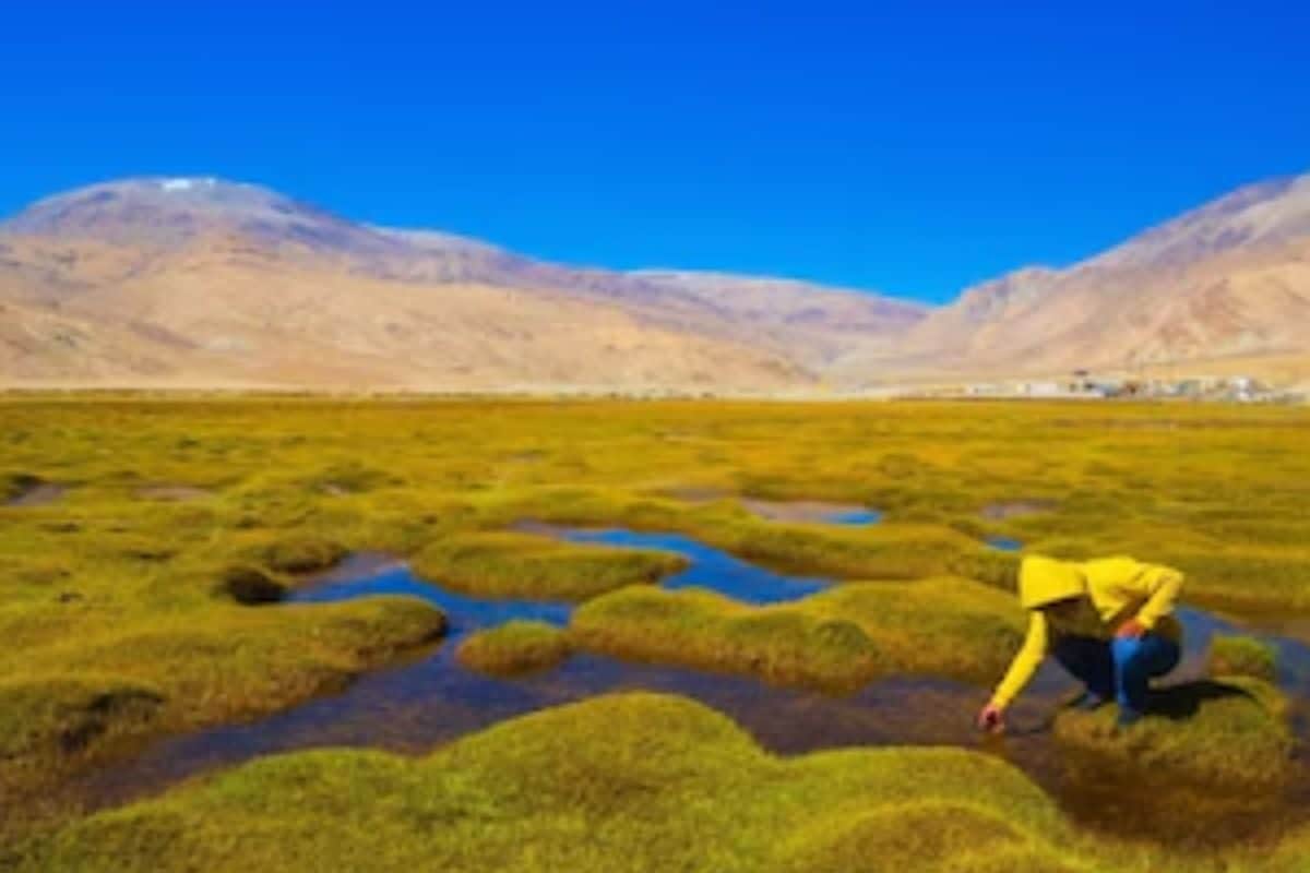 ऊंचे दर्रों की धरती पर विकास की गूंज 2019 से 2025 तक कैसे बदला लद्दाख पढ़ें