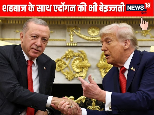 Trump is insulting everyone, not only Shahbaz but also for Erdogan Trump is insulting everyone, not only Shahbaz but also for Erdogan