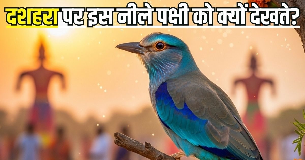 Neelkanth Bird on Dussehra: दशहरा के दिन नीलकंठ पक्षी को देखना क्यों माना जाता है शुभ? जानिए क्या है धार्मिक महत्व