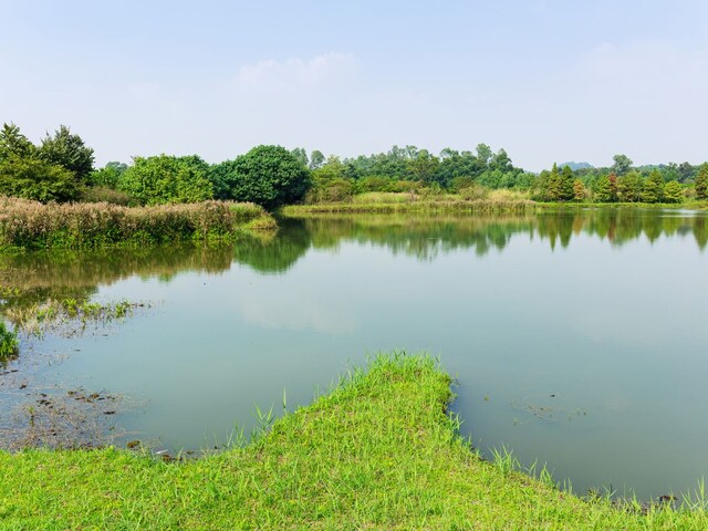 The pond was going on renovation, then got thousands of years old 'bathroom'!