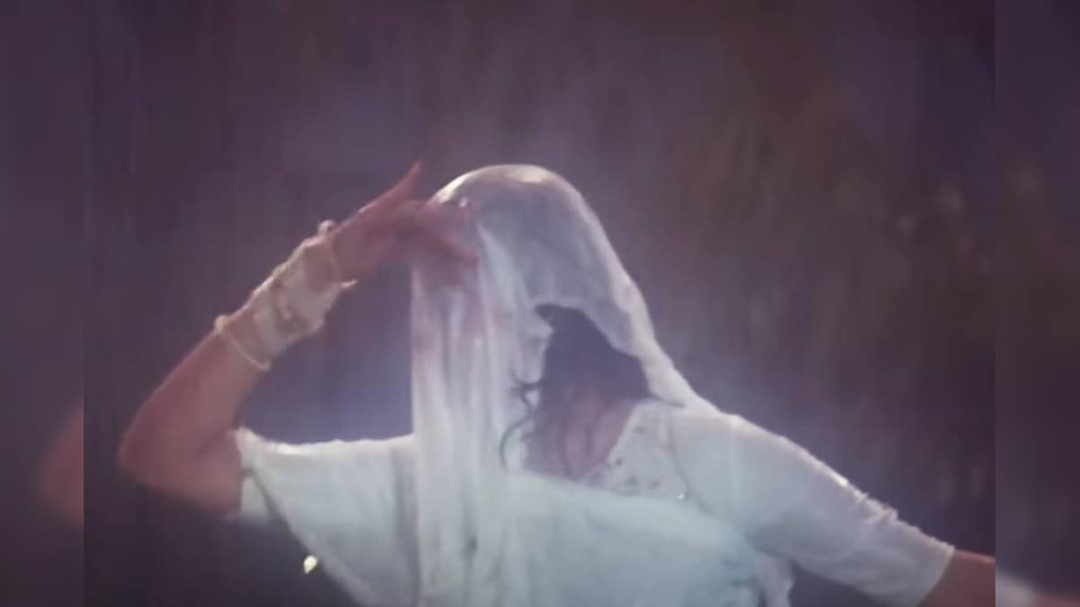 That song from the blockbuster, the Chandni Saji actress had fiercely danced, Nagin C was such a wave, Rishi Kapoor was stunned