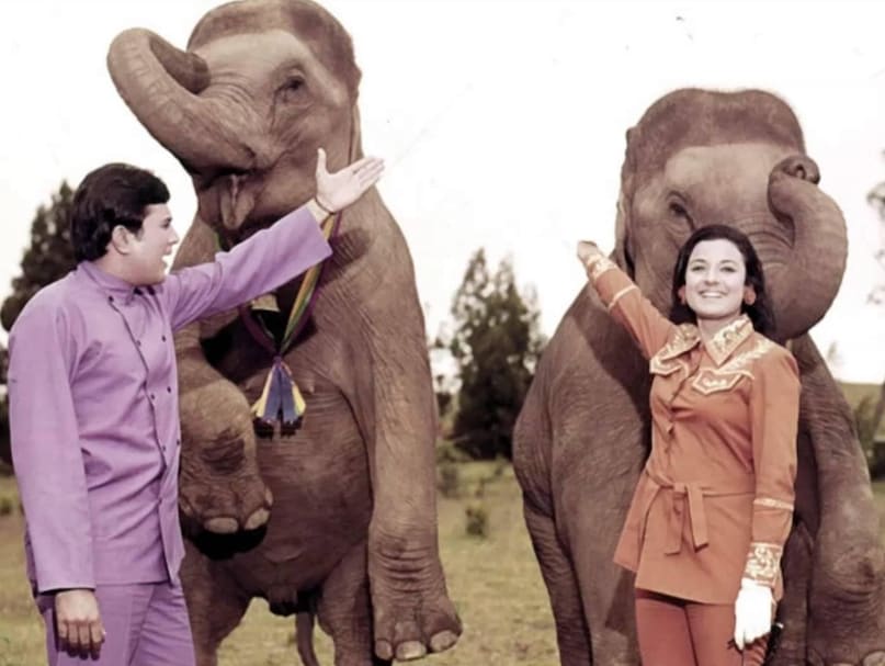 Tanuja, Tanuja once scolded Dev Anand, tanuja movies, Dev Anand Tanuja, Tanuja Dev Anand, kajol mother, Tanuja birthday