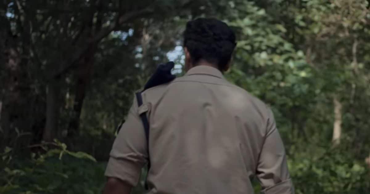 The head chopped in the forest, suspense starts from the first minute, the story of the thriller series reversed by the sixth episode