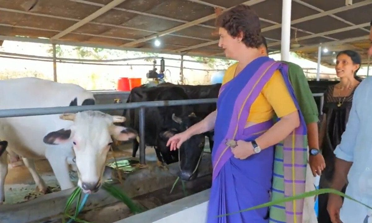 क्यूटी पाई! केरल में आलिया से मिलीं प्रियंका गांधी वीडियो देख आप भी मुस्कराए बिना नहीं रह पाएंगे