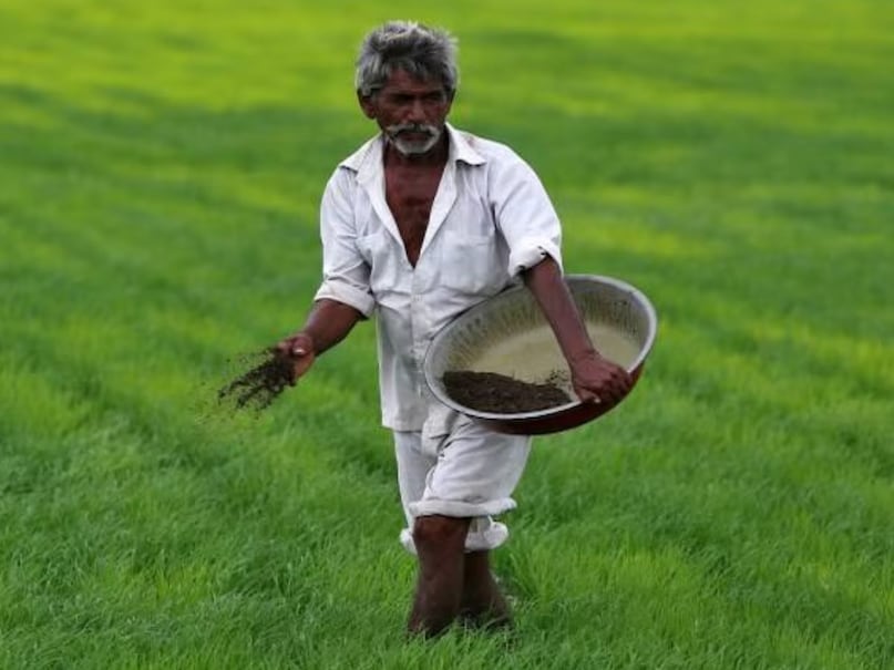 pm kisan scheme, pm kisan yojana, pm kisan samman nidhi, money, farmers, schemes, pm kisan yojana, Money, Farmers, PM Kisan Yojana, PM Kisan Scheme, New Schemes, Annadatha