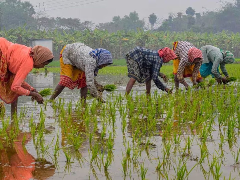 pm kisan scheme, pm kisan yojana, pm kisan samman nidhi, money, farmers, schemes, pm kisan yojana, Money, Farmers, PM Kisan Yojana, PM Kisan Scheme, New Schemes, Annadatha pm kisan scheme, pm kisan yojana, pm kisan samman nidhi, money, farmers, schemes, pm kisan yojana, Money, Farmers, PM Kisan Yojana, PM Kisan Scheme, New Schemes, Annadatha