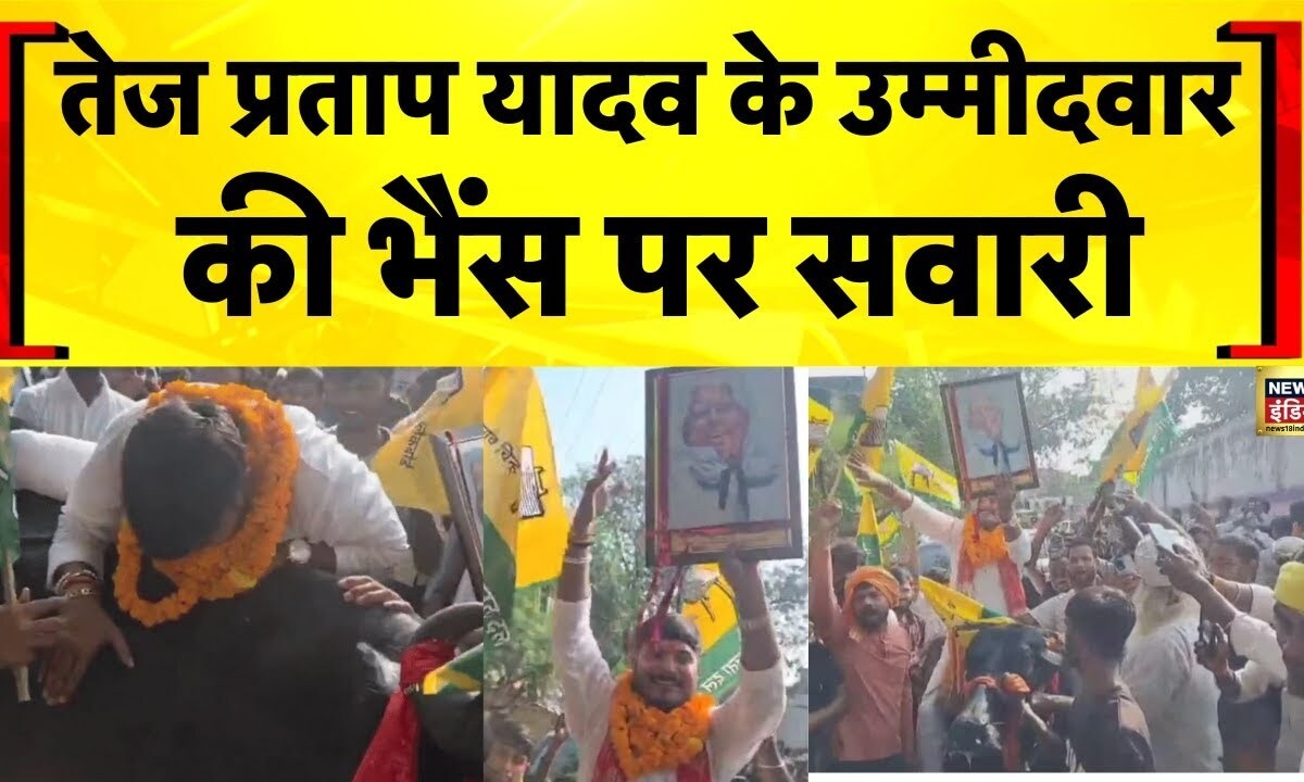 गाड़ी नहीं, घोड़ा नहीं... भैंस पर चढ़े नेता जी... देखिए बिहार चुनाव का सबसे अनोखा अंदाज
