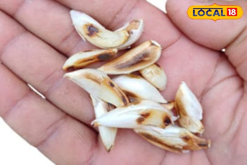 भाजलेला लसूण पचन सुधारण्यास मदत करतो. कारण भाजण्याची प्रक्रिया पचन सोपे करते, गॅस, बद्धकोष्ठता आणि अपचन सारख्या समस्या कमी करते. ते पोटासाठी सौम्य असते आणि आतड्यांतील निरोगी बॅक्टेरियांना प्रोत्साहन देते.