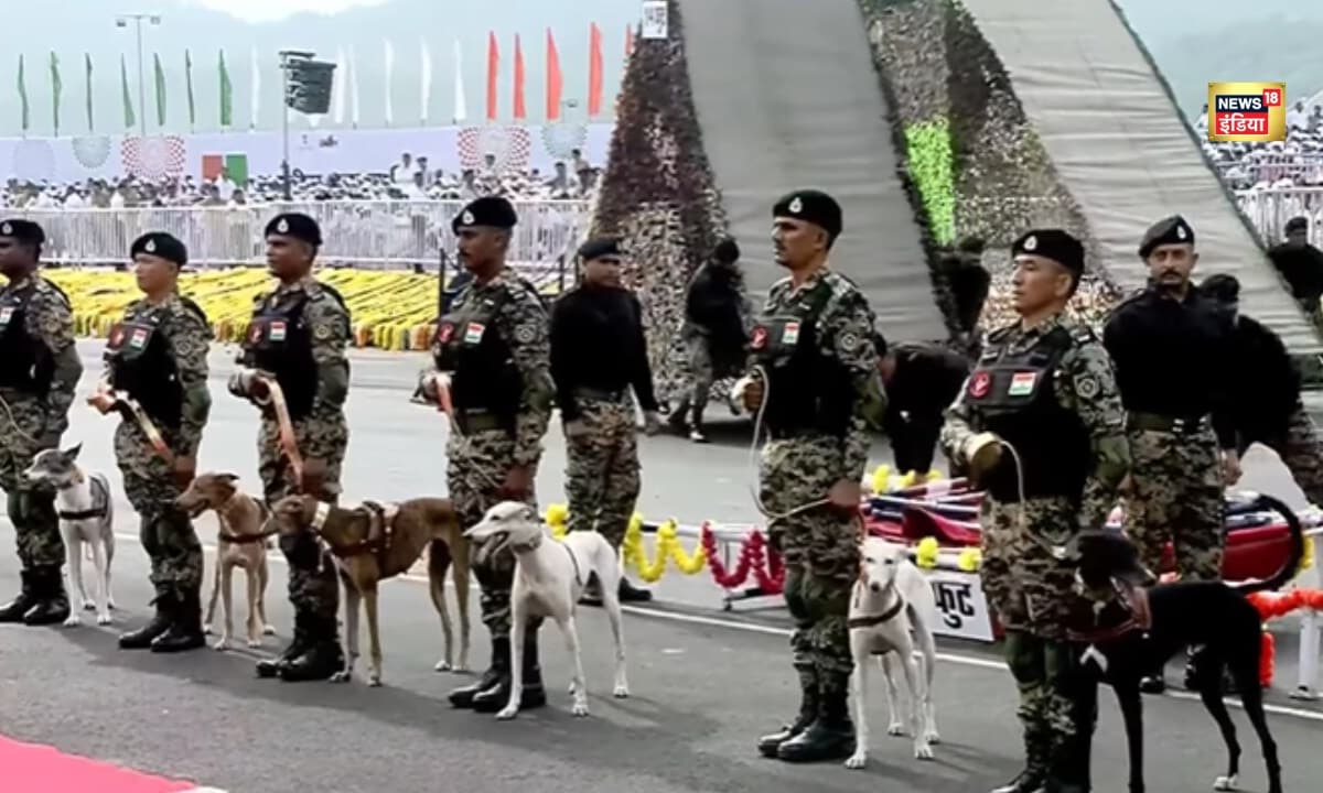 मोगली की छलांगराजा का साहसकेवड़िया की एकता परेड में बीएसएफ श्वानों ने दिखाई देशभक्ति की शक्ति