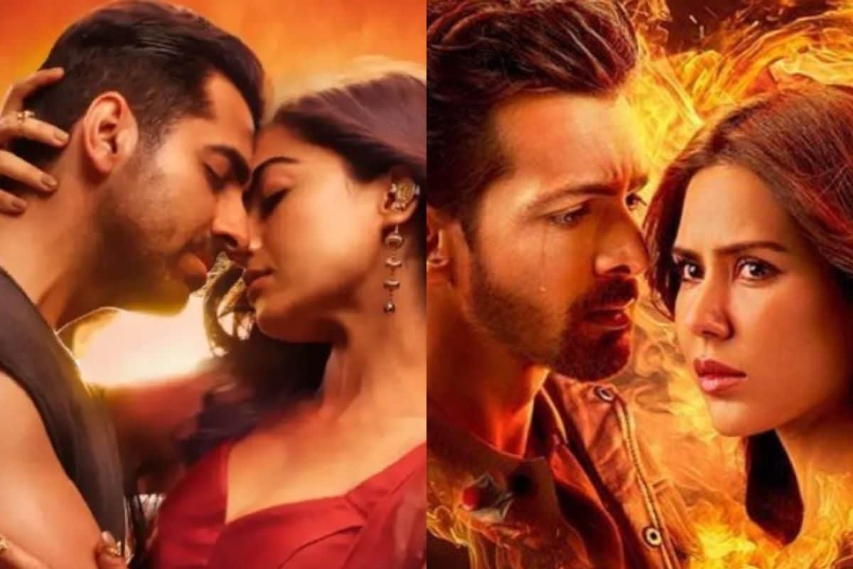100 Cr क्लब के करीब पहुंची Thamma, 'दीवानियत' ने बॉक्स ऑफिस पर बनाई मजबूत पकड़