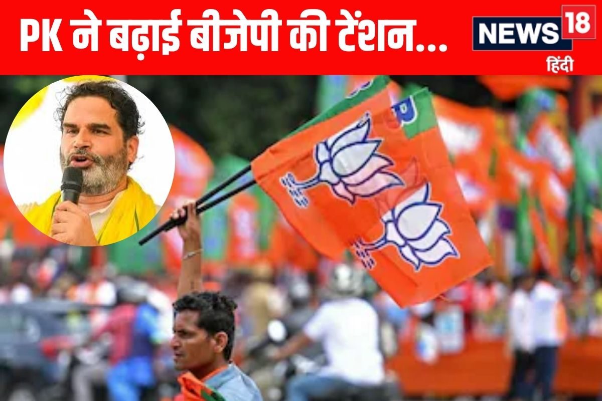 PK पहुंचाएंगे कितना नुकसान BJP ने बनाया बिहार का प्लान हर सीट पर गोटी फिट
