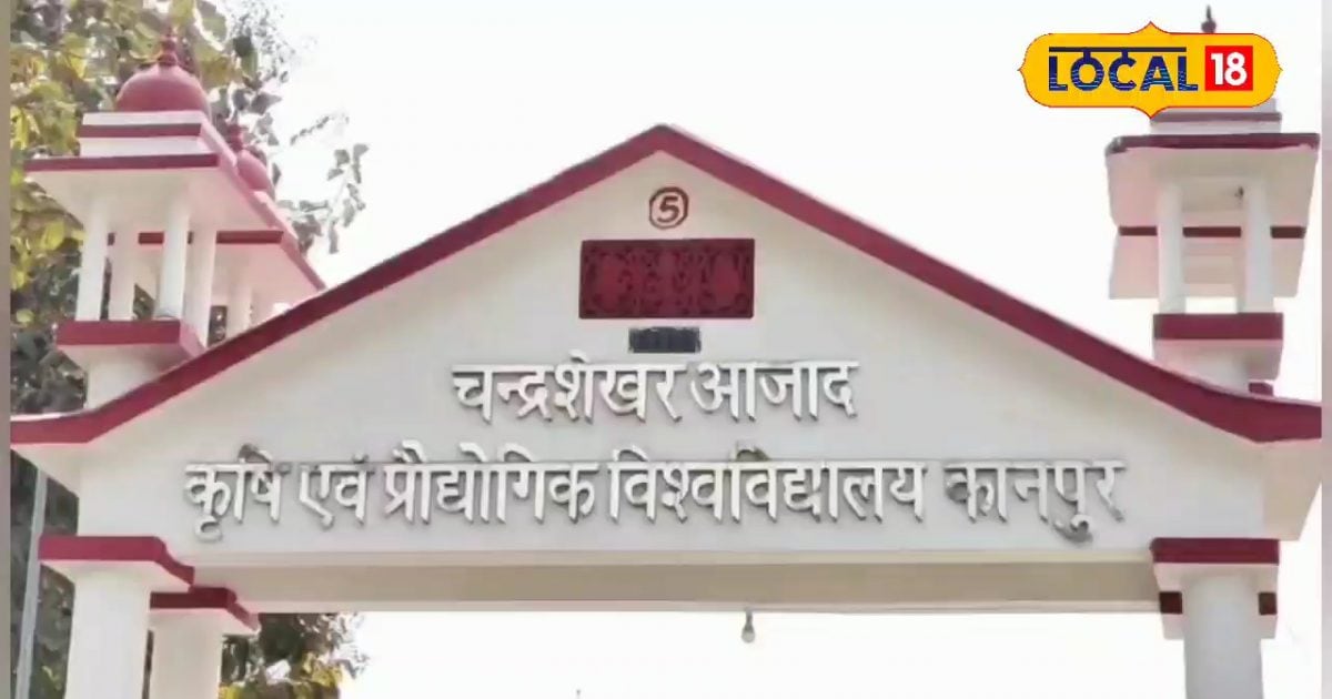 Kanpur news: ऊसर जमीन का "गुड बैक्टीरिया" करेंगे इलाज, जमीन को उपजाऊ बनाने के जानें तरीके