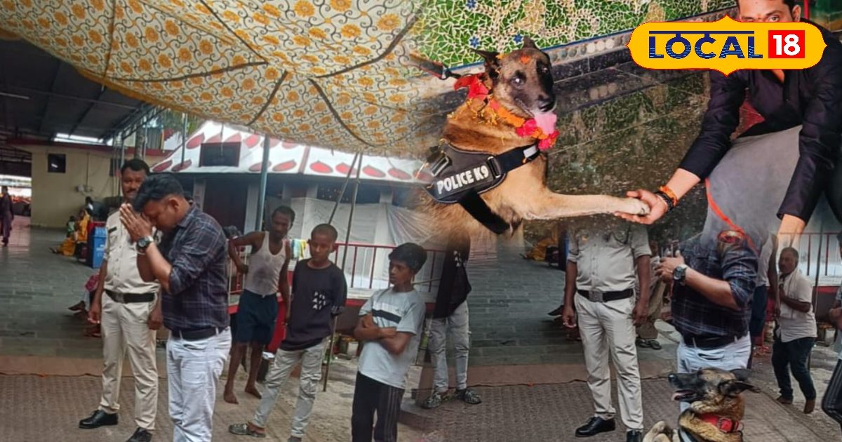 मां सर्वमंगला के दर पर अपराधियों का काल 'बाघा', नाम सुनते ही छूटते हैं पसीने