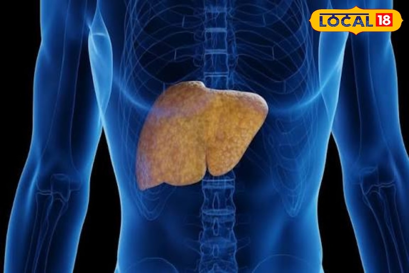 लोकल 18 लोकल 18